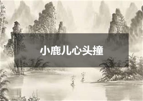 小鹿儿心头撞