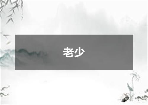 老少