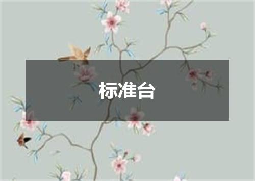 标准台