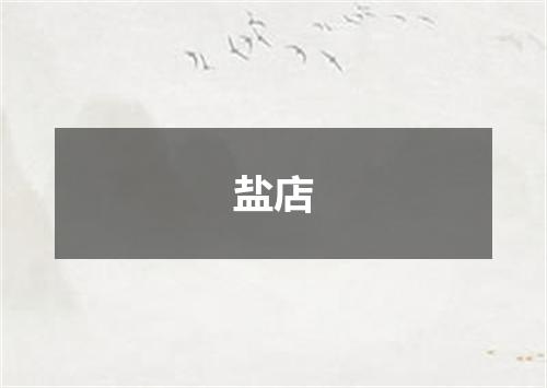 盐店