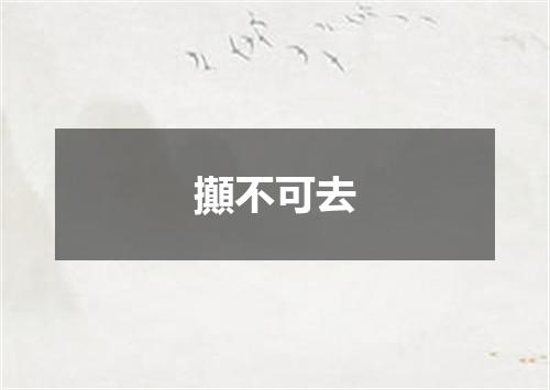 攧不可去