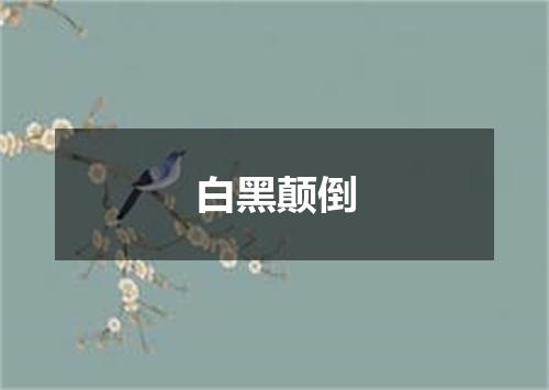 白黑颠倒