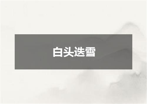 白头迭雪