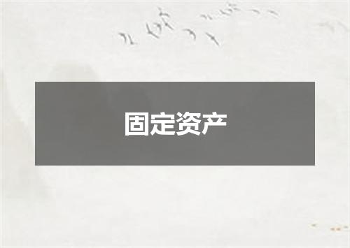 固定资产