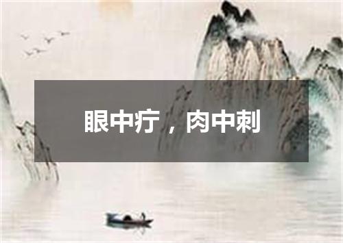 眼中疔，肉中刺