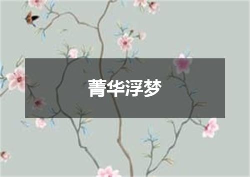 菁华浮梦