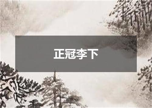 正冠李下