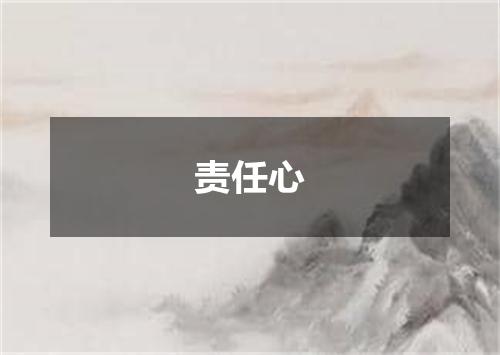 责任心