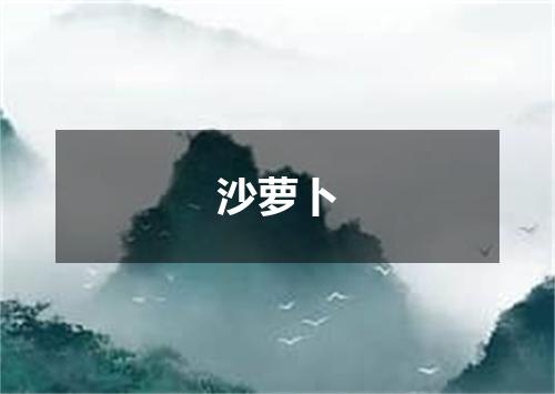 沙萝卜