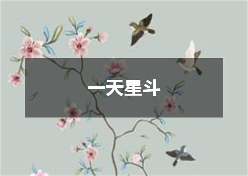 一天星斗