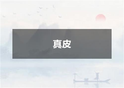 真皮