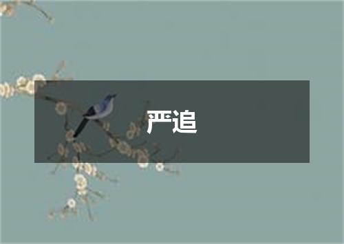 严追