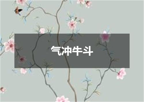 气冲牛斗