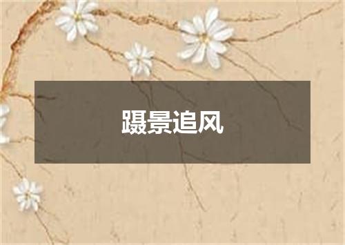 蹑景追风