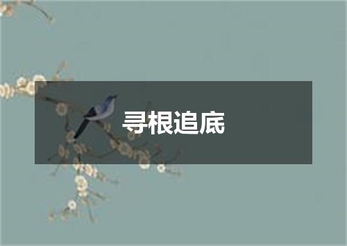 寻根追底