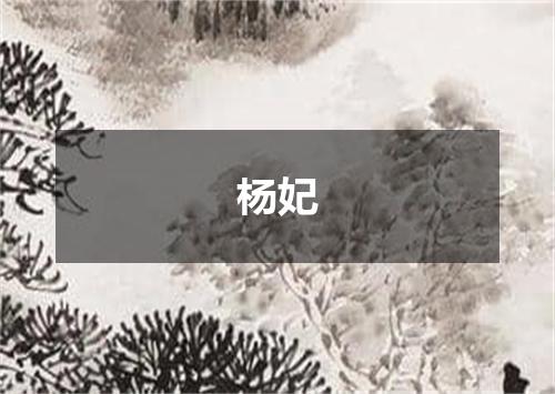 杨妃
