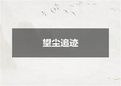 望尘追迹