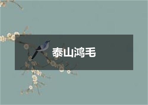 泰山鸿毛