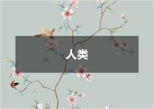 人类