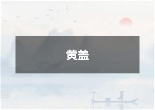 黄盖