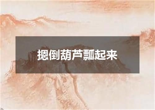 摁倒葫芦瓢起来