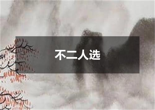 不二人选