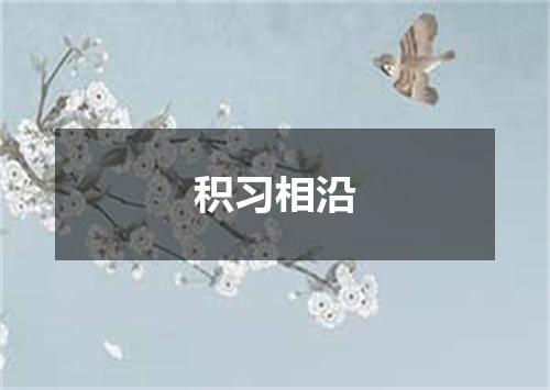 积习相沿