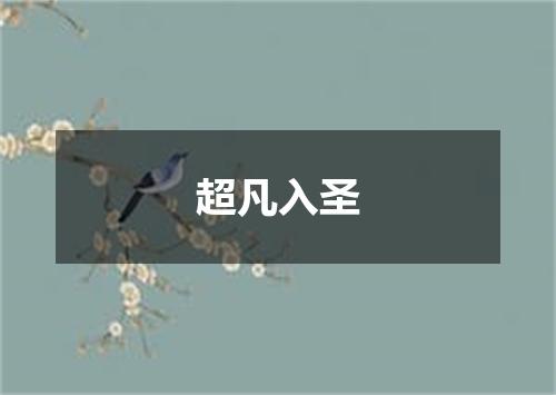 超凡入圣