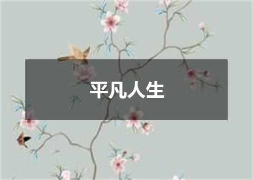 平凡人生