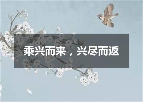 乘兴而来，兴尽而返