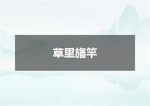草里旛竿