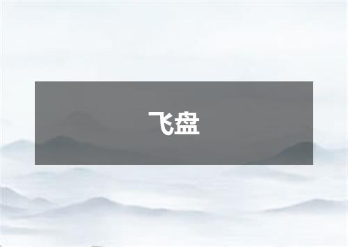 飞盘
