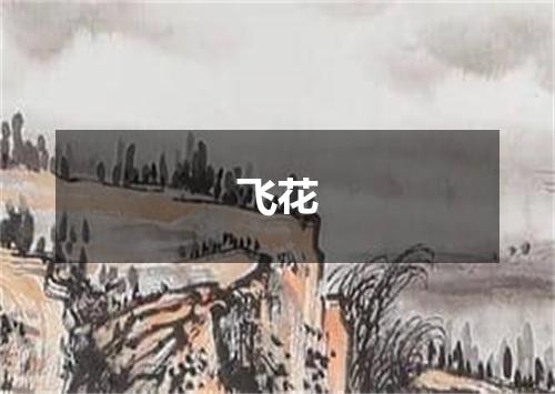 飞花