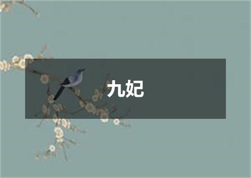 九妃