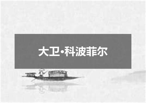 大卫·科波菲尔
