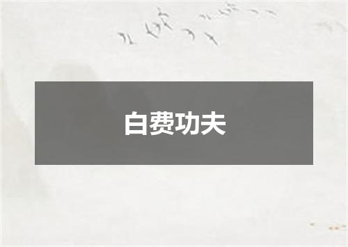 白费功夫