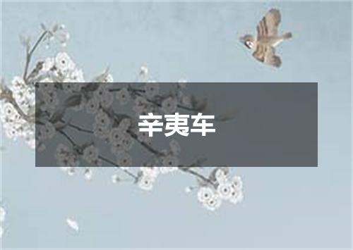 辛夷车