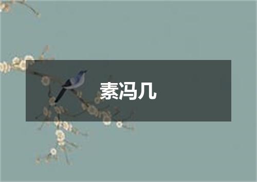 素冯几