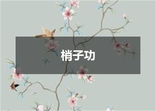 梢子功