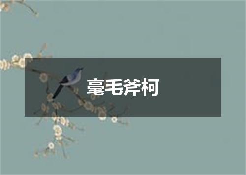 毫毛斧柯