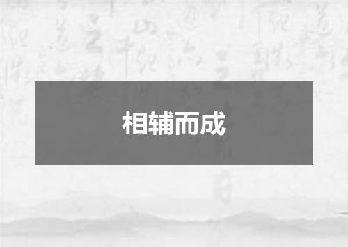 相辅而成