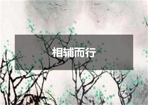 相辅而行