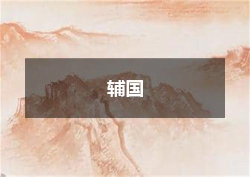 辅国