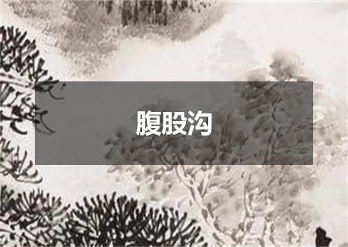 腹股沟
