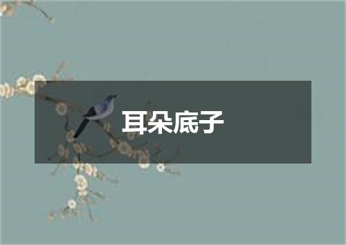 耳朵底子