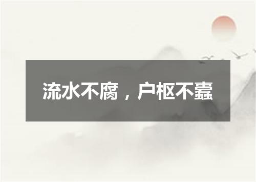 流水不腐，户枢不蠹