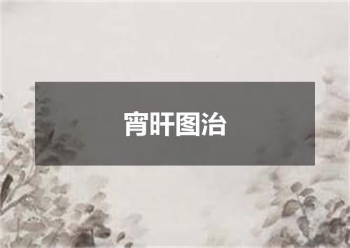 宵旰图治