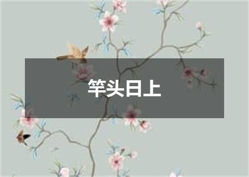 竿头日上