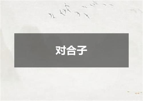 对合子