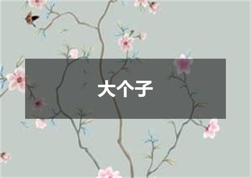 大个子